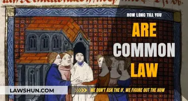 Understanding the Timeline of Common Law Marriage