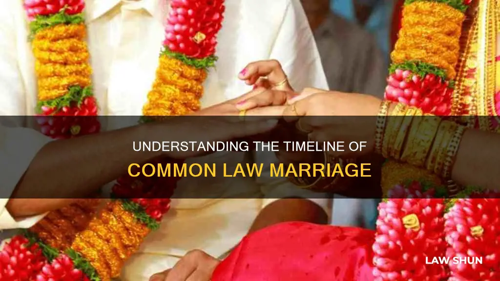 how long till you are common law