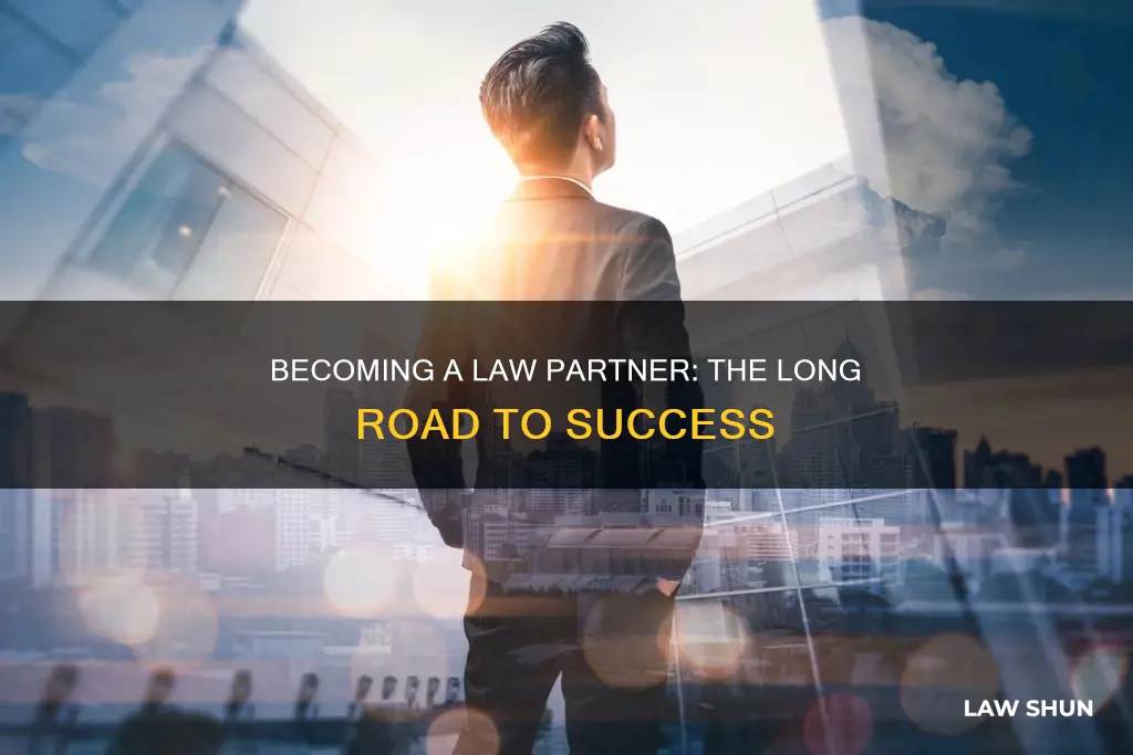 how long to become a law partner