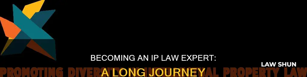 how long to become intellectual property law