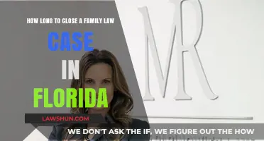 Closing Family Law Cases in Florida: How Long?