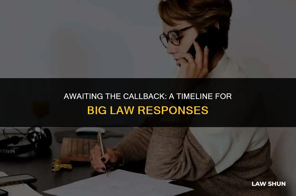 how long until callback big law