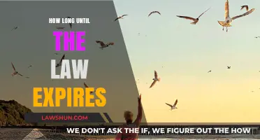 Understanding the Sunset Clause: How Long Until the Law Expires?