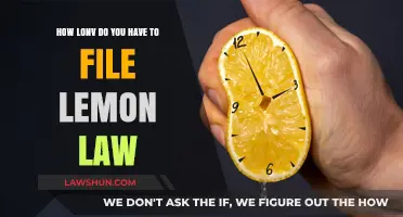 Understanding Lemon Law Deadlines: How Long Do You Have to File?