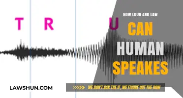 Human Voice: Exploring Volume and Pitch Range