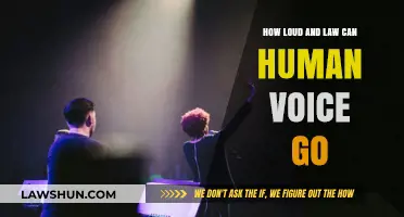 Exploring the Human Voice: From Loud to Low