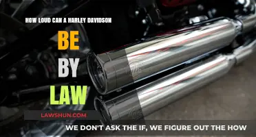 Harley-Davidson: How Loud is Too Loud?