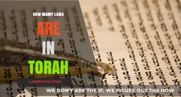 Exploring the Depths: A Comprehensive Guide to Torah's Laws