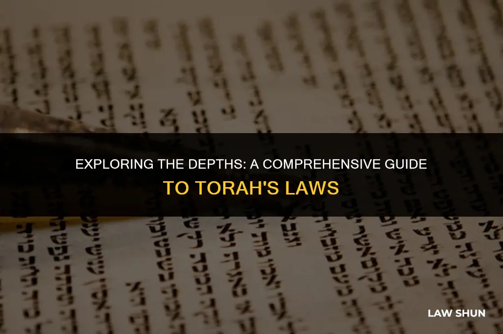 how mamy laws are in torah