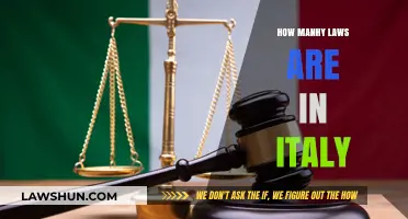 Exploring the Labyrinth of Italian Legislation: A Comprehensive Guide
