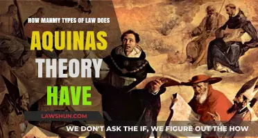Exploring the Diverse Legal Categories in Aquinas' Philosophical Framework
