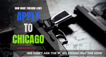 Firearm Laws in Chicago: How Many Apply?