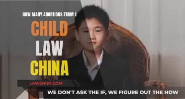 The Impact of China's One-Child Policy: Abortion Numbers Revealed