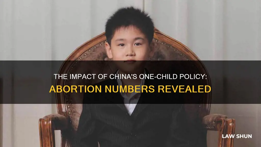 how many abortions from 1 child law china