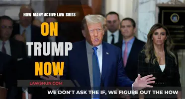 Tracking Trump's Legal Battles: Current Active Lawsuits Against the Former President