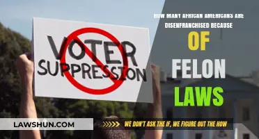 Felon Laws and African American Disenfranchisement: A Deep Dive