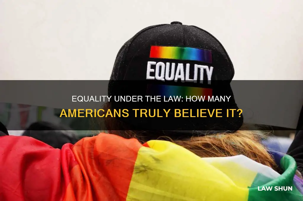 how many americans see each other equal under the law