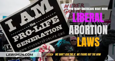 Liberal Abortion Laws: Do Americans Want Change?