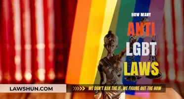Anti-LGBTQ Laws: A Shocking Number