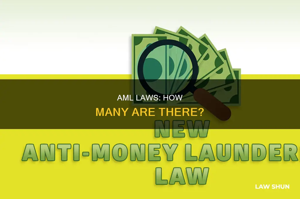 how many anti-money laundering laws are there