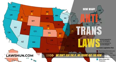 Transphobic Laws: A Rising Tide of Discrimination