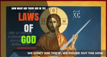 Understanding the Countless Divine Laws: Exploring God's Eternal Commandments