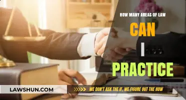 Explore Law: Diverse Practice Areas to Consider