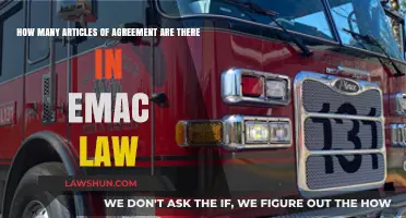 Understanding the Number of Articles in EMAC Law Agreements