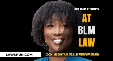 Exploring the Legal Team: How Many Attorneys at BLM Law?