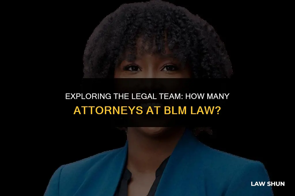 how many attorneys at blm law