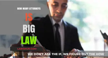 Decoding Big Law: Understanding Attorney Numbers in Top Firms