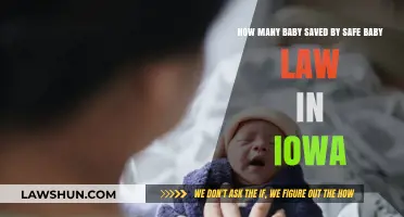 Iowa's Safe Baby Law: How Many Lives Have Been Saved?