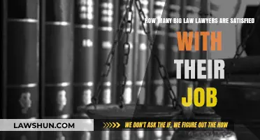 Big Law Job Satisfaction: How Many Lawyers Are Truly Content?