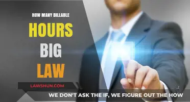 Decoding Billable Hours: A Deep Dive into Big Law's Timekeeping Practices