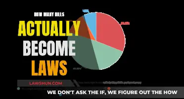 Understanding the Legislative Process: Bills to Laws