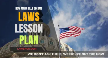 Understanding the Legislative Process: Bills to Laws