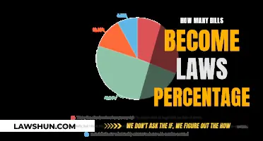 Understanding the Lawmaking Process: Bills to Laws