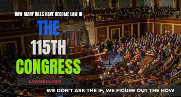 Legislative Productivity: 115th Congress and Lawmaking Success