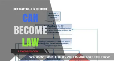 A Flood of Bills: How Many Become Law?