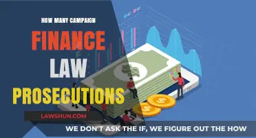 Navigating the Complex Landscape of Campaign Finance Law Prosecutions