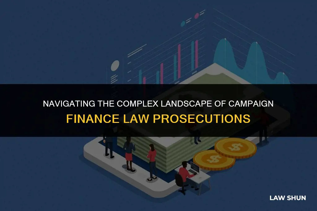 how many campaign finance law prosecutions