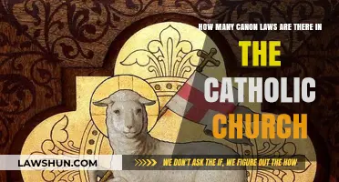 Understanding the Vast Number of Canon Laws in Catholicism