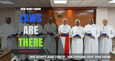 Exploring the Vast Landscape of Canon Law: A Comprehensive Guide