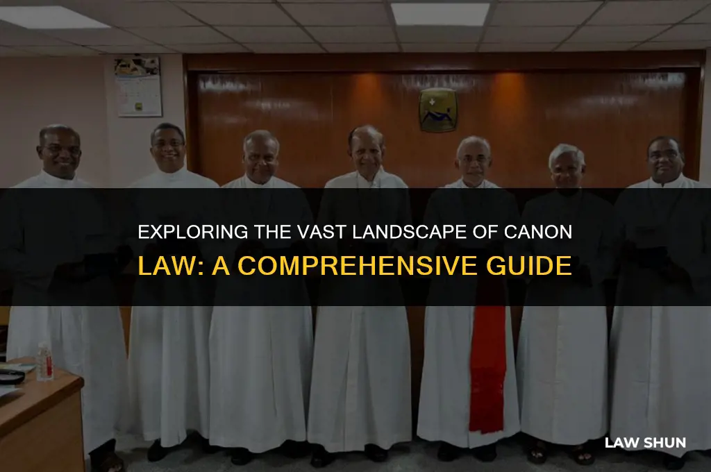 how many canon laws are there