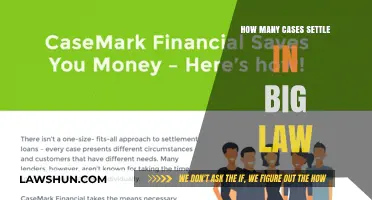 Big Law: Settlement Rates and Insights