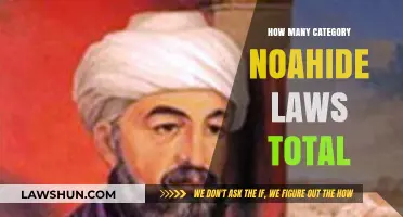 Understanding Noahide Laws: A Comprehensive Guide to the Seven Categories