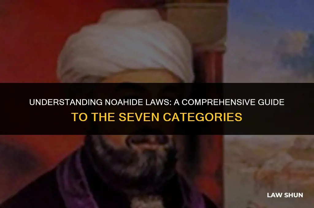 how many category noahide laws total