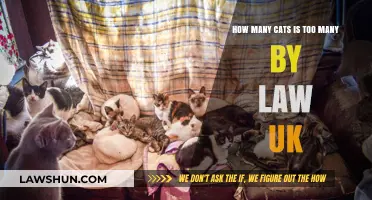 When Does UK Law Consider Cat Ownership Excessive?