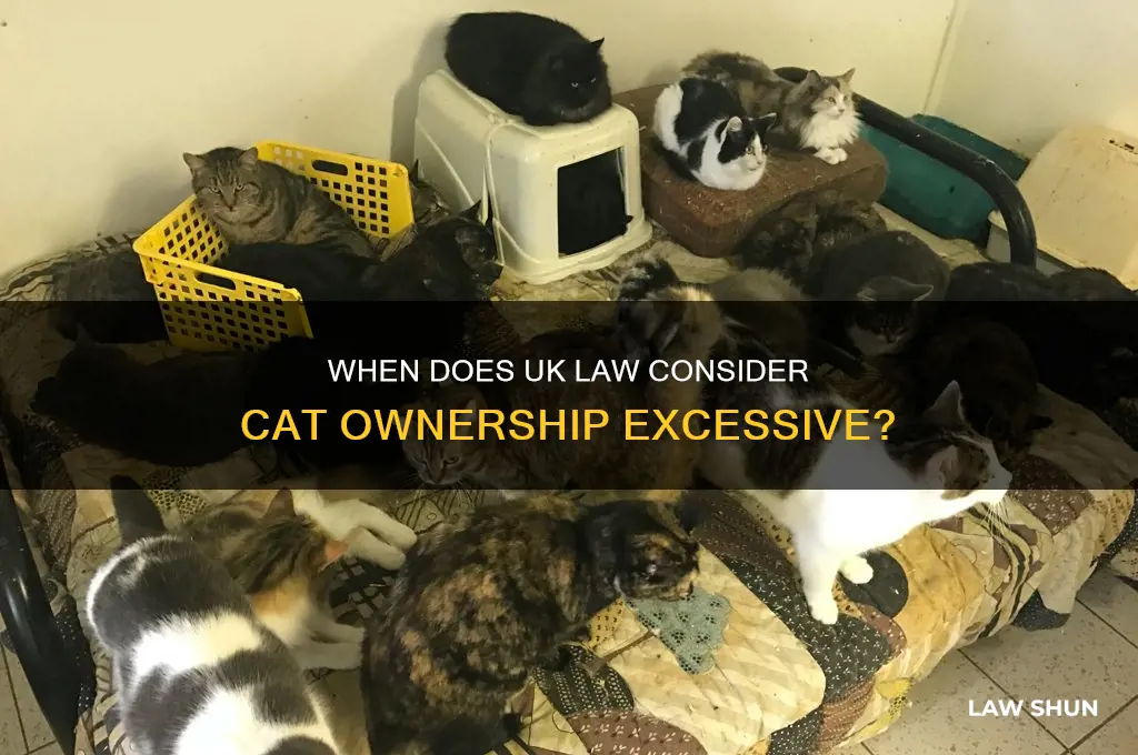 how many cats is too many by law uk