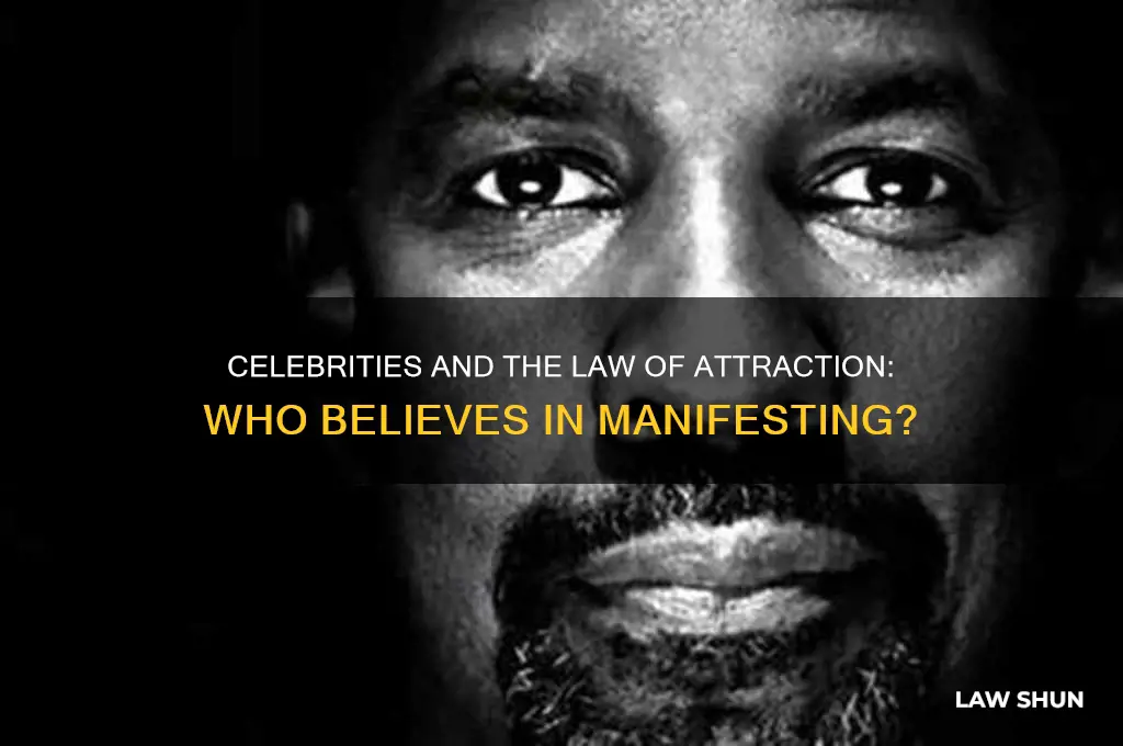 how many celebrities believe in the law of attraction
